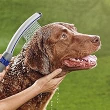 08f820c3 dbed 4824 ba95 b82cd5ff Divelty