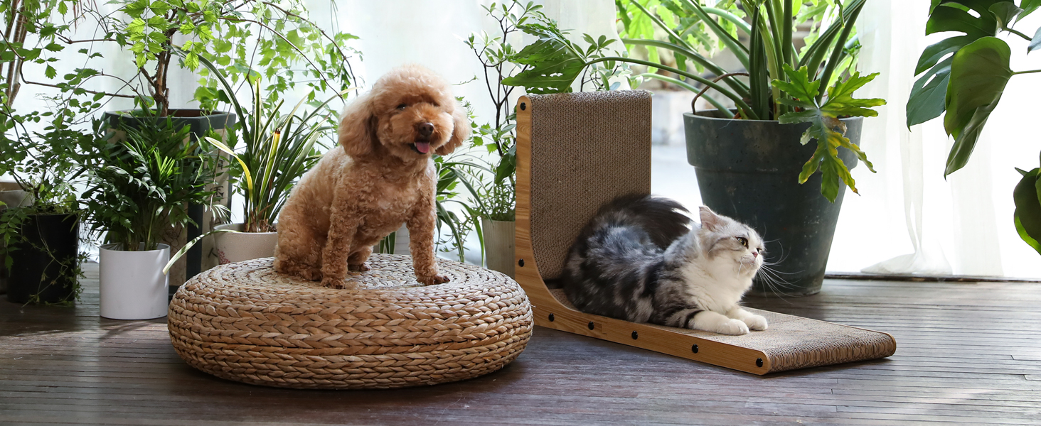 0d3bf1b1 fe51 4c88 bbd5 f6344a25 Divelty