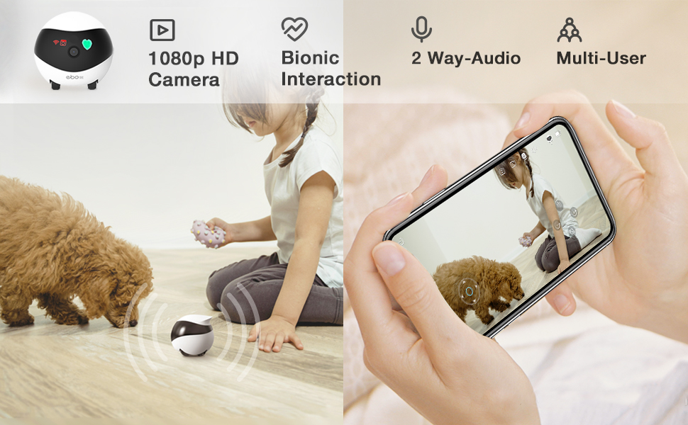 2275c0eb b660 42b7 9ece 9fed3427 Divelty