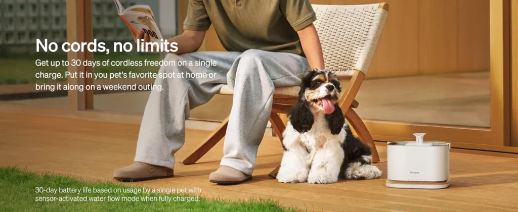 38f72849 b18e 4dfc b123 d6f610d2 Divelty