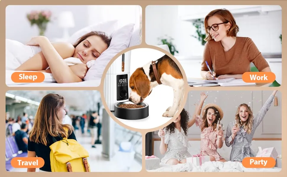 3afeb5ce 6368 4195 a4ef 01fed61e Divelty