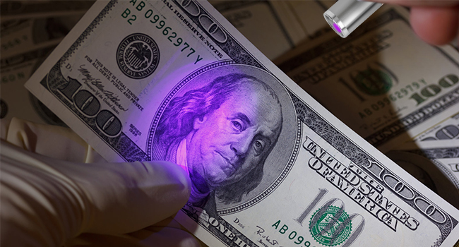 3ea7b998 e5d3 42f4 9705 295e5848 Divelty