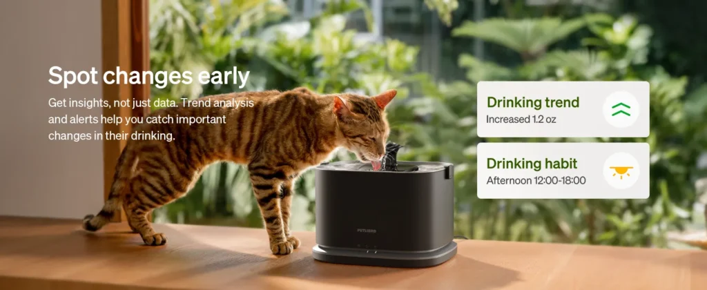 4a8ceb19 9e5f 44fc 8061 b587e4a4 Divelty