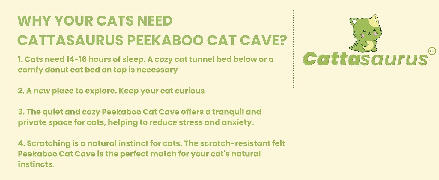 567ec0f6 0894 4ac8 bdf6 c1109679 Divelty