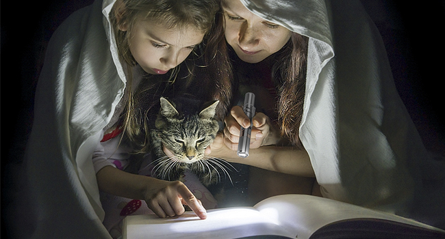 5d4d75cd 4629 4a45 8032 55ace27f Divelty