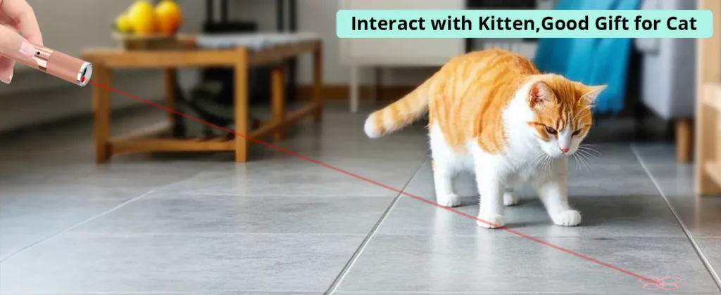 651347c5 984d 4264 ba7b c5164232 Divelty