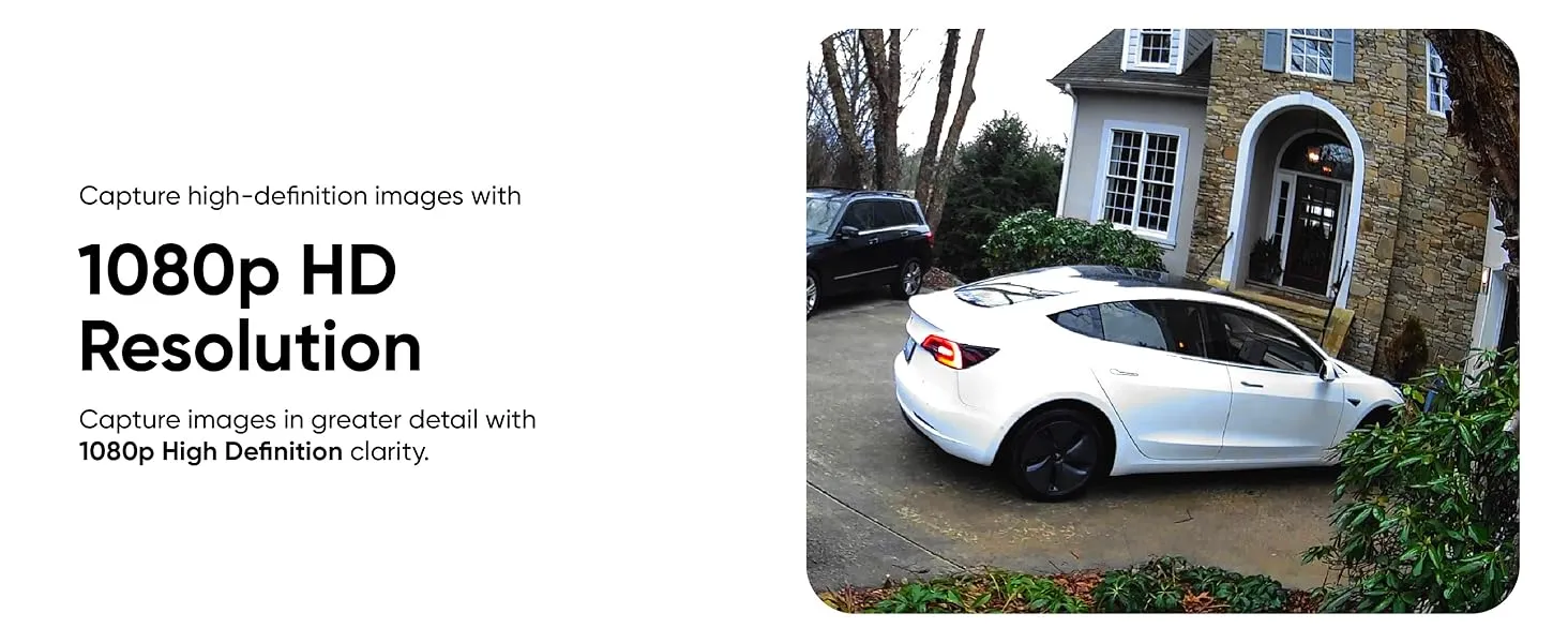 8d2f2011 70f8 4012 8980 238e93da Divelty