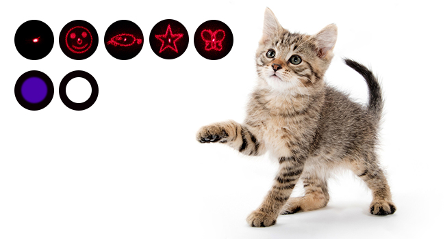 8f2db180 af5b 4fed aad6 a1e0d988 Divelty