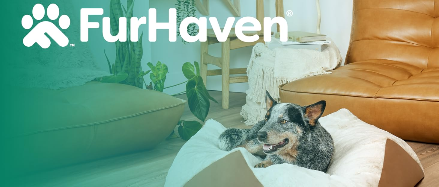 9fdab305 f33b 4d4c 9581 fbf1e928 Divelty