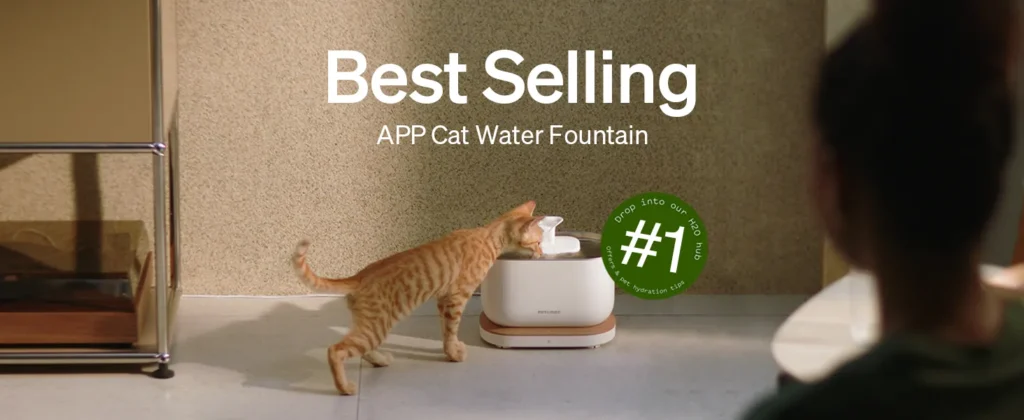 9fe26217 c32a 475d 88c1 5d31ecea Divelty