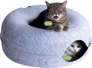 CATTASAURUS Peekaboo Cat Bed Review – 7 Powerful Benefits for Cats | Divelty