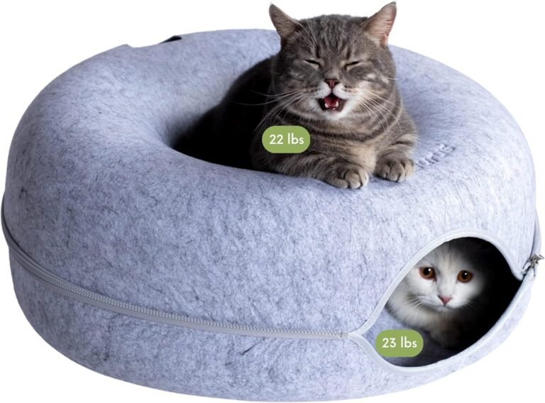 CATTASAURUS Peekaboo Cat Bed Review – 7 Powerful Benefits for Cats | Divelty