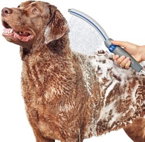 Waterpik Pet Wand Pro Dog Shower Attachment for Fast and Easy Dog – Divelty
