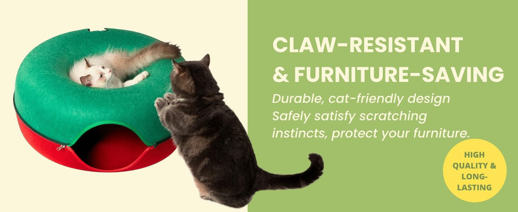 a2ed5bd0 8767 4c40 a925 f2c130cd Divelty