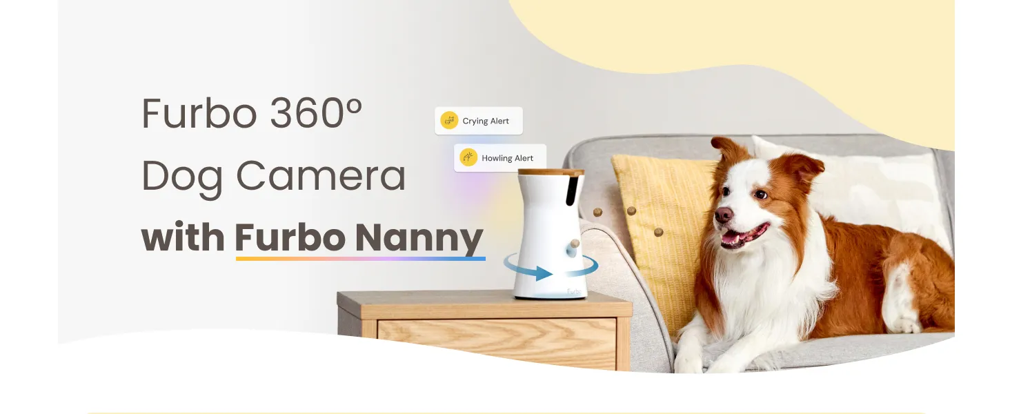 b593b2dd 2463 4843 8c5a 97f93b19 Divelty