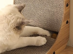 bc00fee9 57b8 4666 99c1 99ef4aeb Divelty