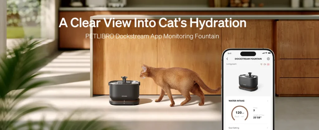 c4034b6d b8b9 40ee a0df 4bf180d1 Divelty