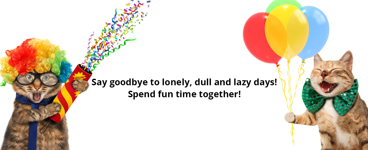 dde1ec33 6da2 483f 95d6 90967304 Divelty