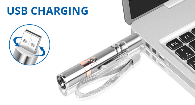 ee39d6b6 9565 4c33 b7a1 e0455052 1 Divelty