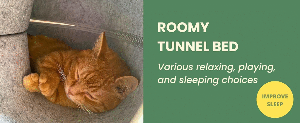 f8a1c41a 24f0 4d6a a420 248d2887 Divelty